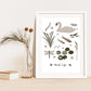 Pond Life Art Print
