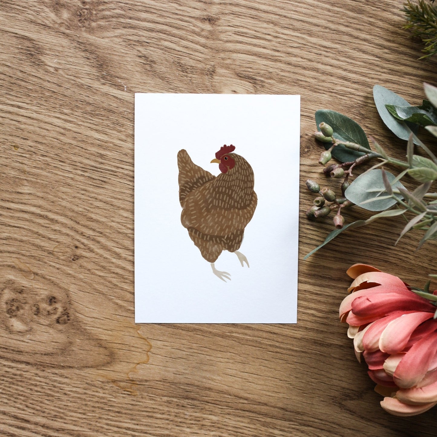 Set of 3 Chicken Postcard Prints