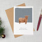 Winters Night Christmas Card Pack