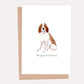 Springer Spaniel Birthday Card