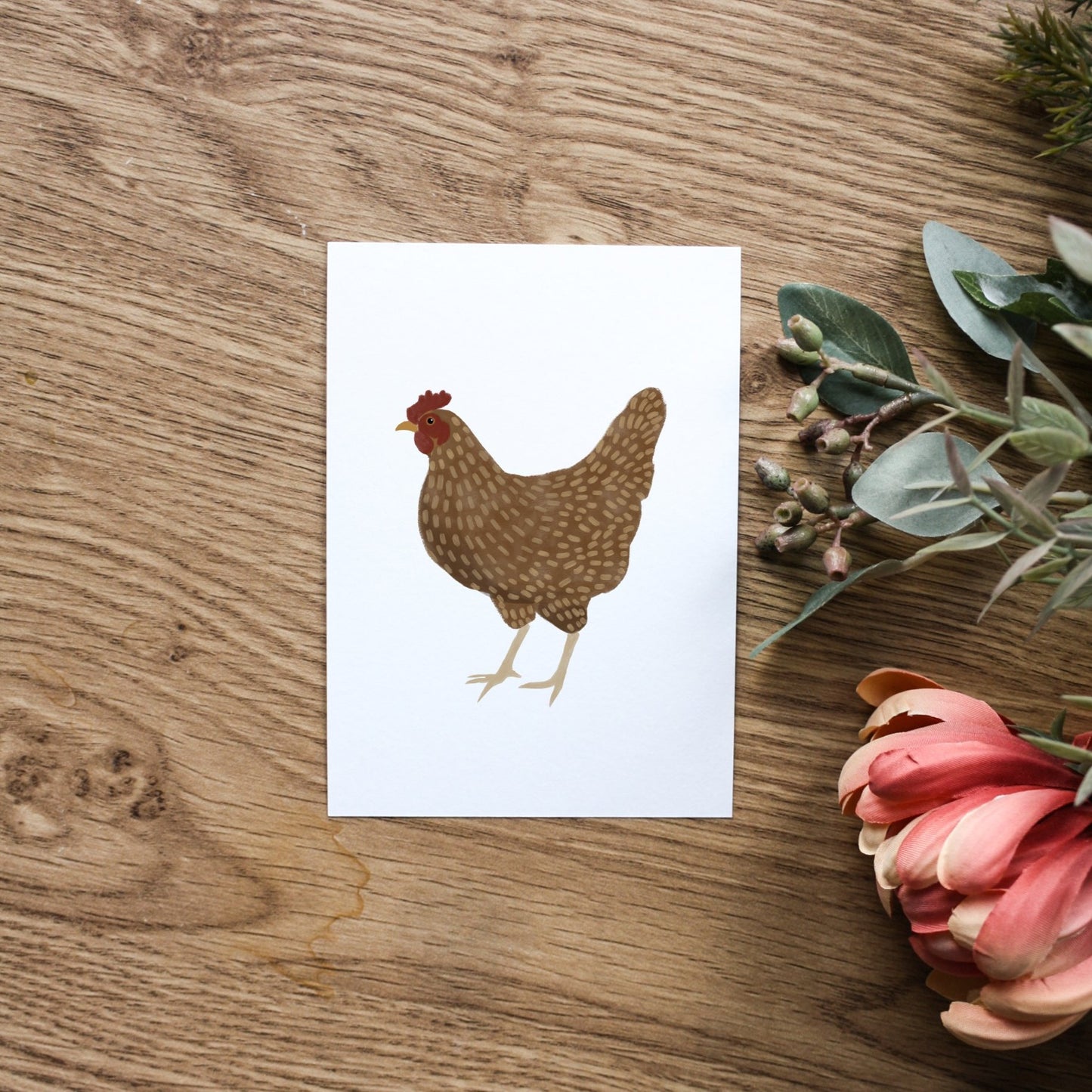 Set of 3 Chicken Postcard Prints