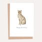 Tabby Cat Birthday Card by HeatherLucyJ. Pet Portrait Greeting Card