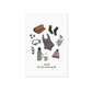 Wild Swimming Essentials Art Print